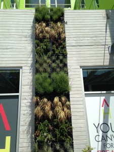 Vertical garden in Seattle