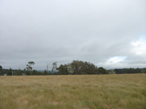 Fiscalini Ranch Preserve in Cambria, California.