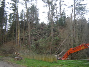 Damage following a coastal storm on the North Island in August 2008.