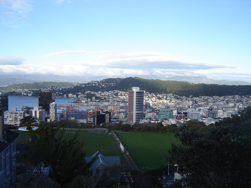 Wellington skyline