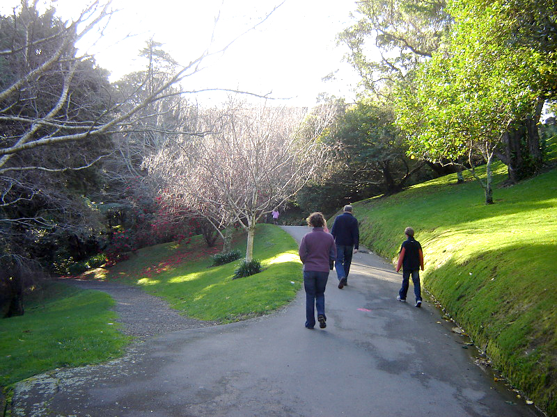 Wellington Botanical Garden