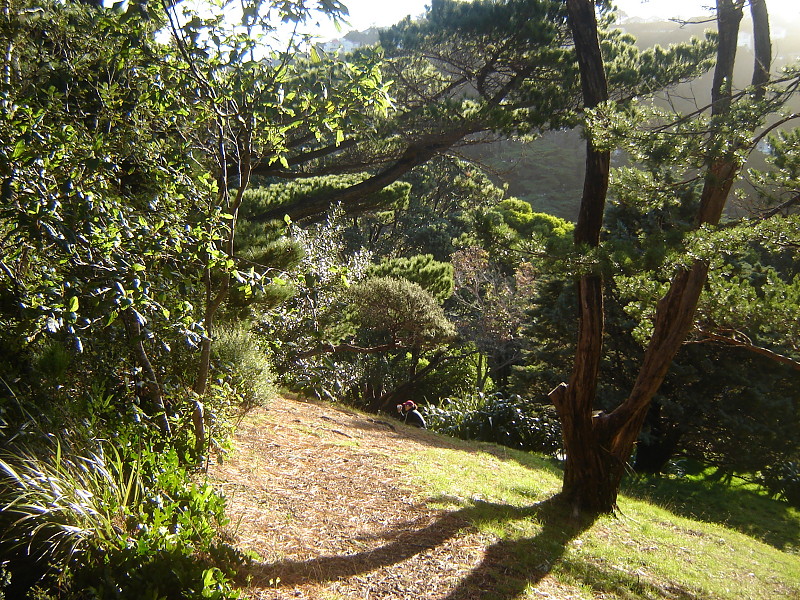 Wellington Botanical Garden